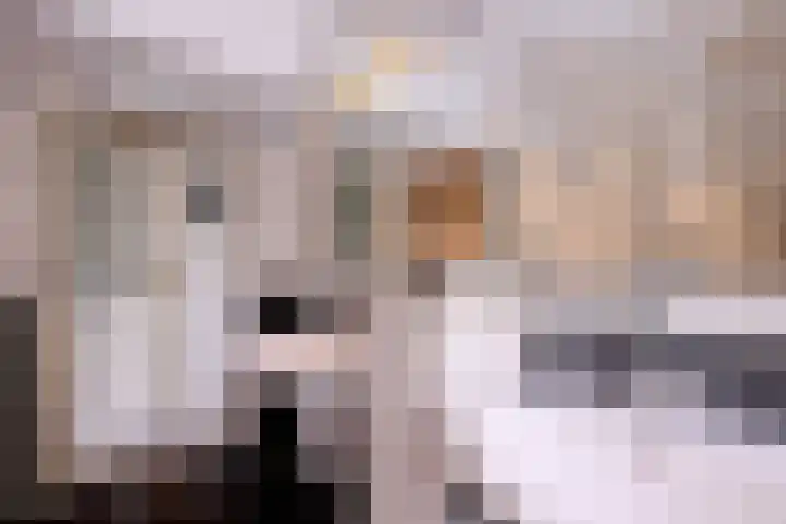 Dwarsweg 15 Brummen thumbnail 23