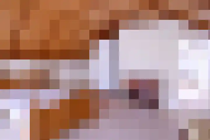 Dwarsweg 15 Brummen thumbnail 27