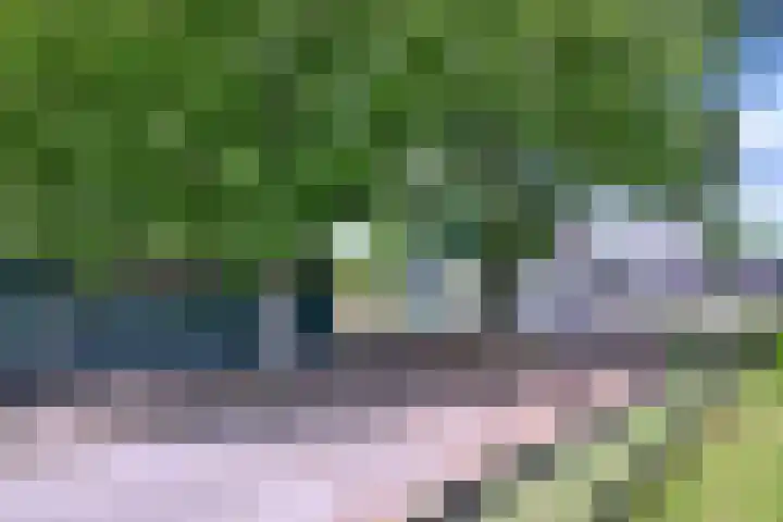 Dwarsweg 15 Brummen thumbnail 39