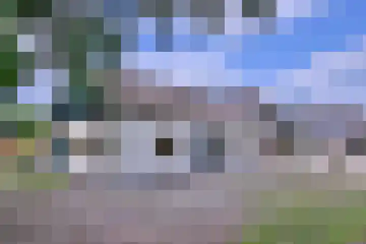 Dwarsweg 15 Brummen thumbnail 4