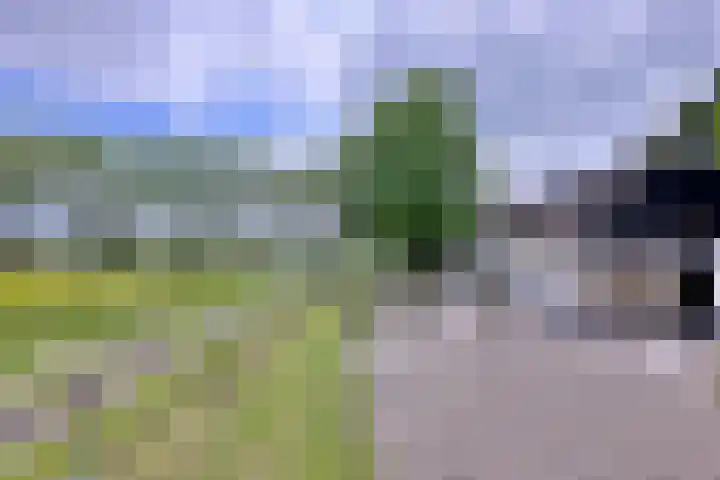 Dwarsweg 15 Brummen thumbnail 43