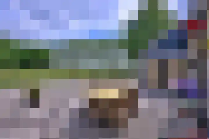 Dwarsweg 15 Brummen thumbnail 44