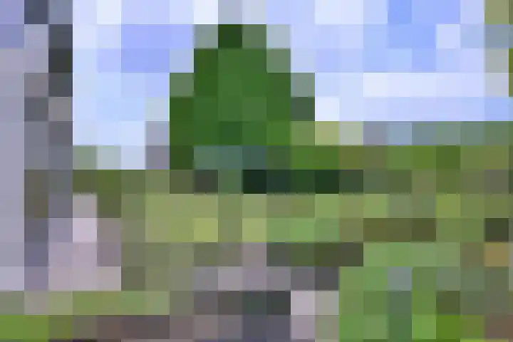 Dwarsweg 15 Brummen thumbnail 45