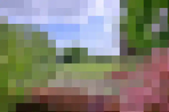Dwarsweg 15 Brummen thumbnail 47