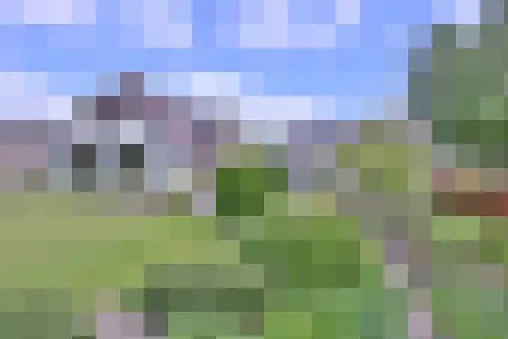 Dwarsweg 15 Brummen thumbnail 48