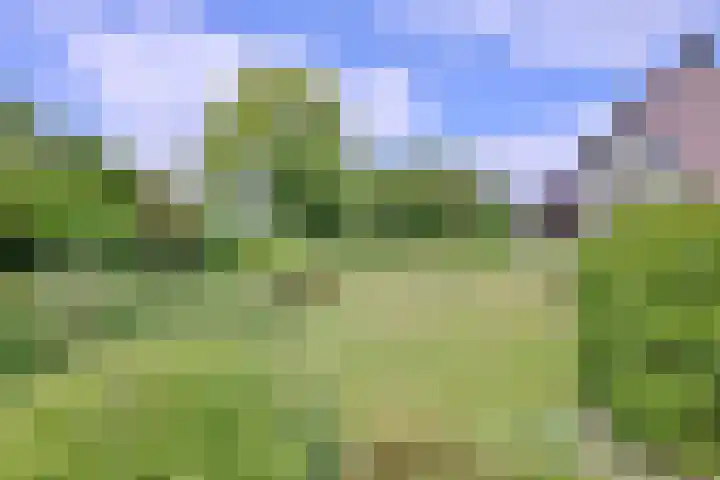 Dwarsweg 15 Brummen thumbnail 49