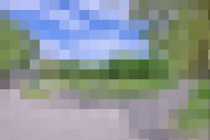 Dwarsweg 15 Brummen thumbnail 5