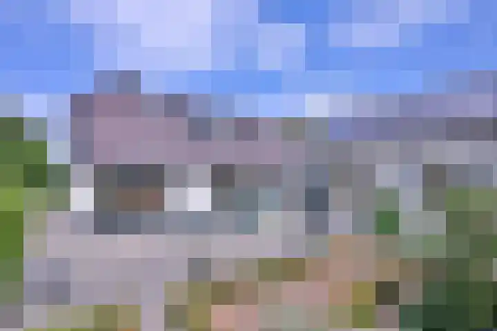 Dwarsweg 15 Brummen thumbnail 50