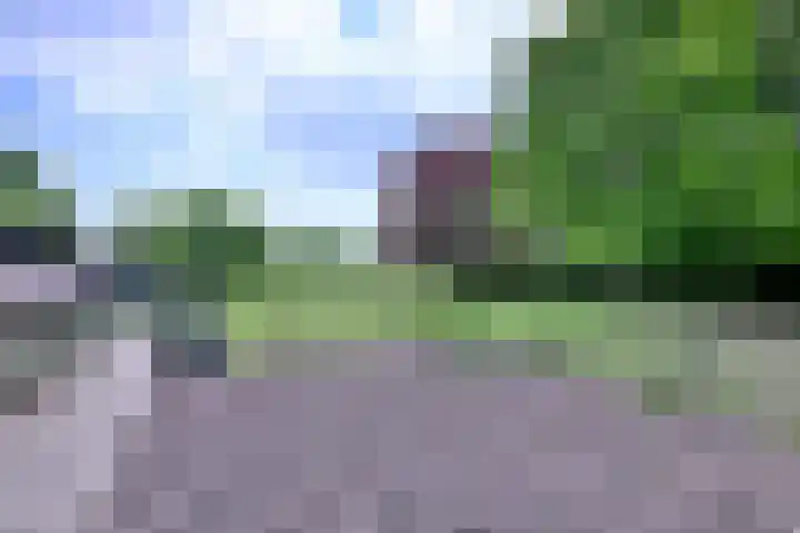 Dwarsweg 15 Brummen thumbnail 52