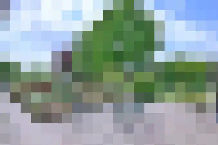 Dwarsweg 15 Brummen thumbnail 55