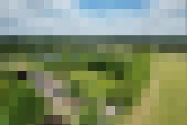 Dwarsweg 15 Brummen thumbnail 56