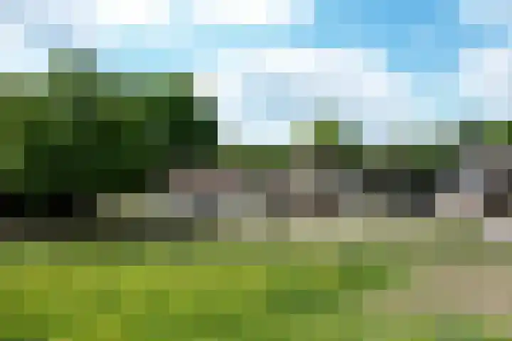 Dwarsweg 15 Brummen thumbnail 57