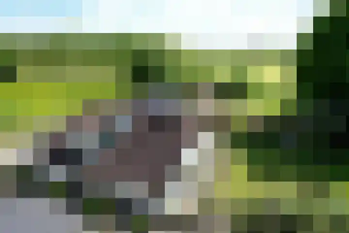 Dwarsweg 15 Brummen thumbnail 58