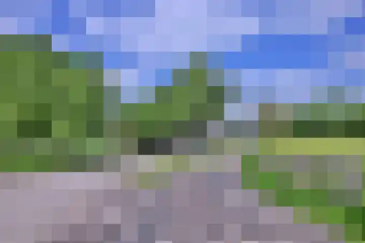 Dwarsweg 15 Brummen thumbnail 59