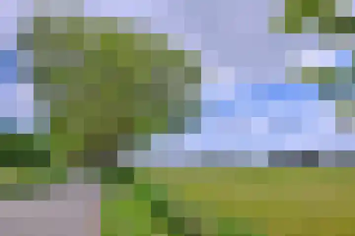 Dwarsweg 15 Brummen thumbnail 60