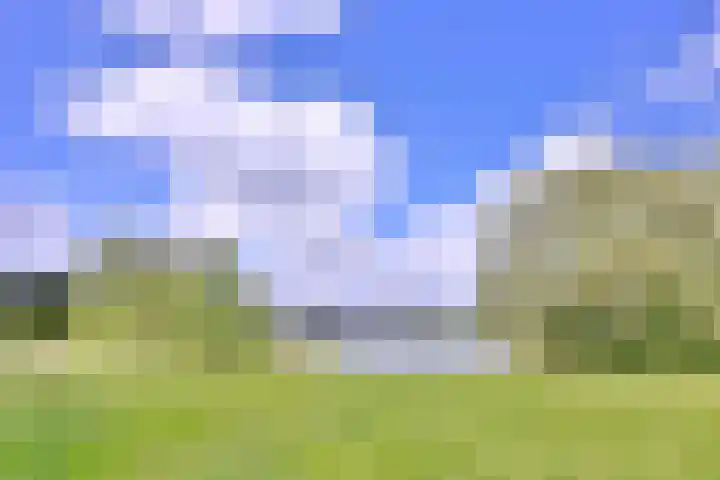 Dwarsweg 15 Brummen thumbnail 61
