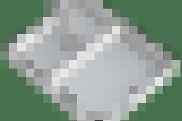 Dwarsweg 15 Brummen thumbnail 67