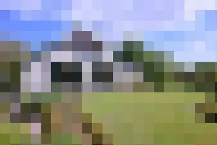 Dwarsweg 15 Brummen thumbnail 70