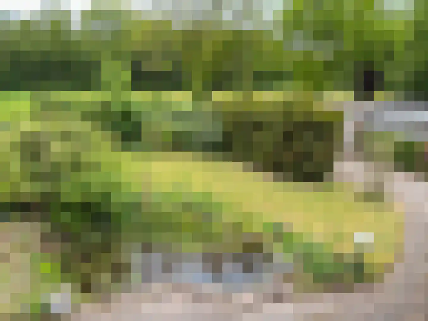 Dwarsweg 16 b Overberg thumbnail 13