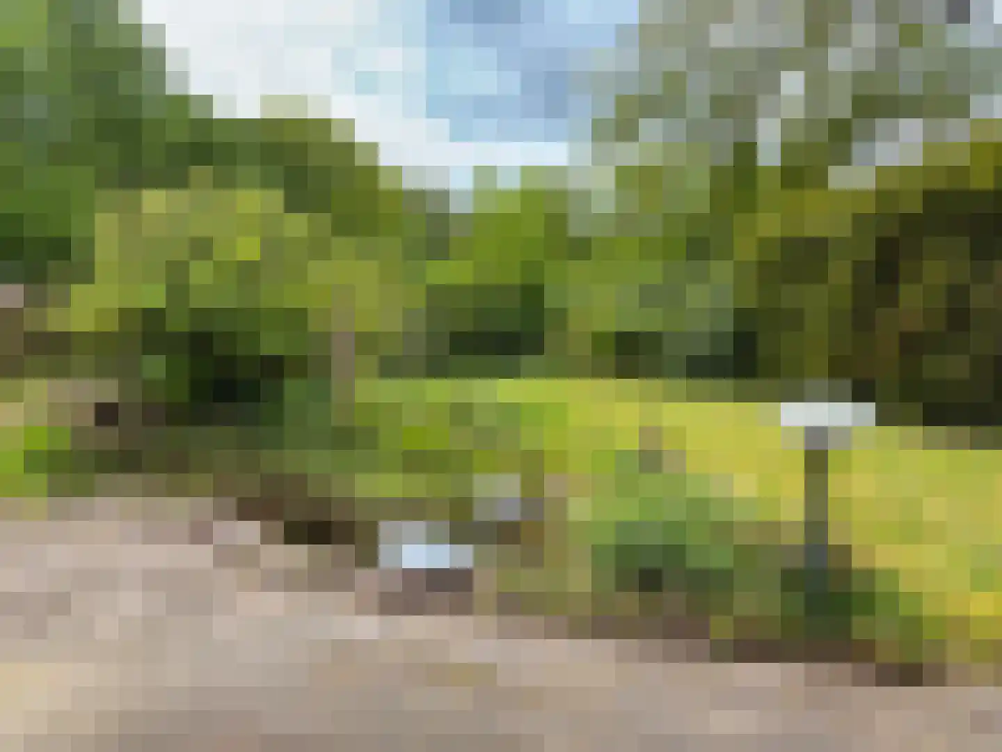 Dwarsweg 16 b Overberg thumbnail 22