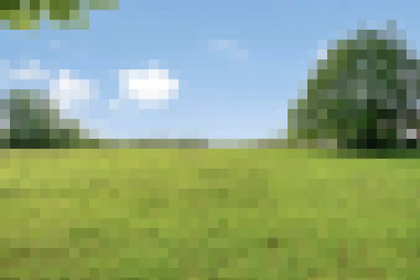 Dwarsweg 16 Eesveen thumbnail 25