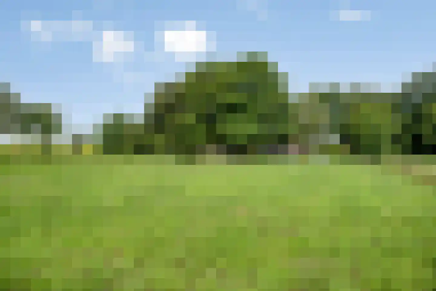 Dwarsweg 16 Eesveen thumbnail 27