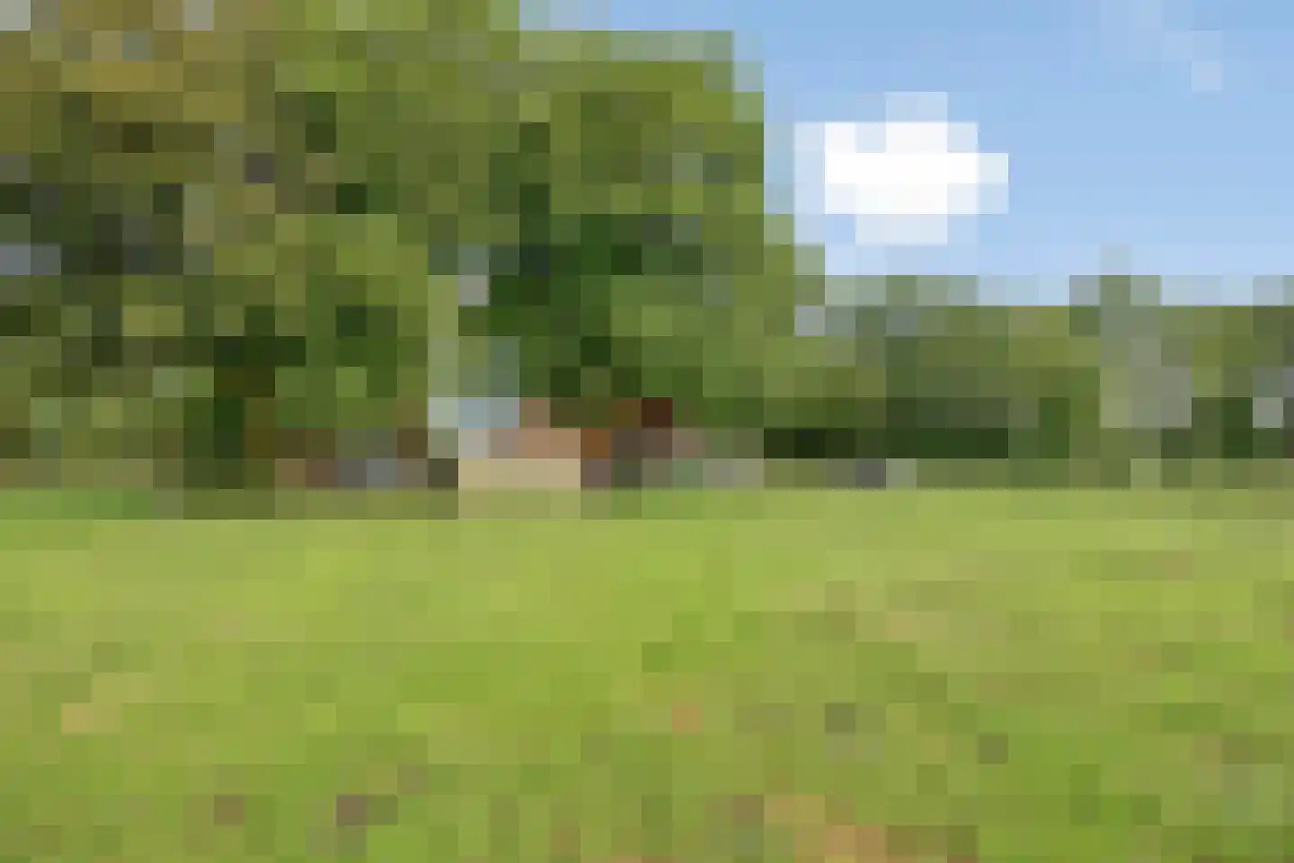 Dwarsweg 16 Eesveen thumbnail 28