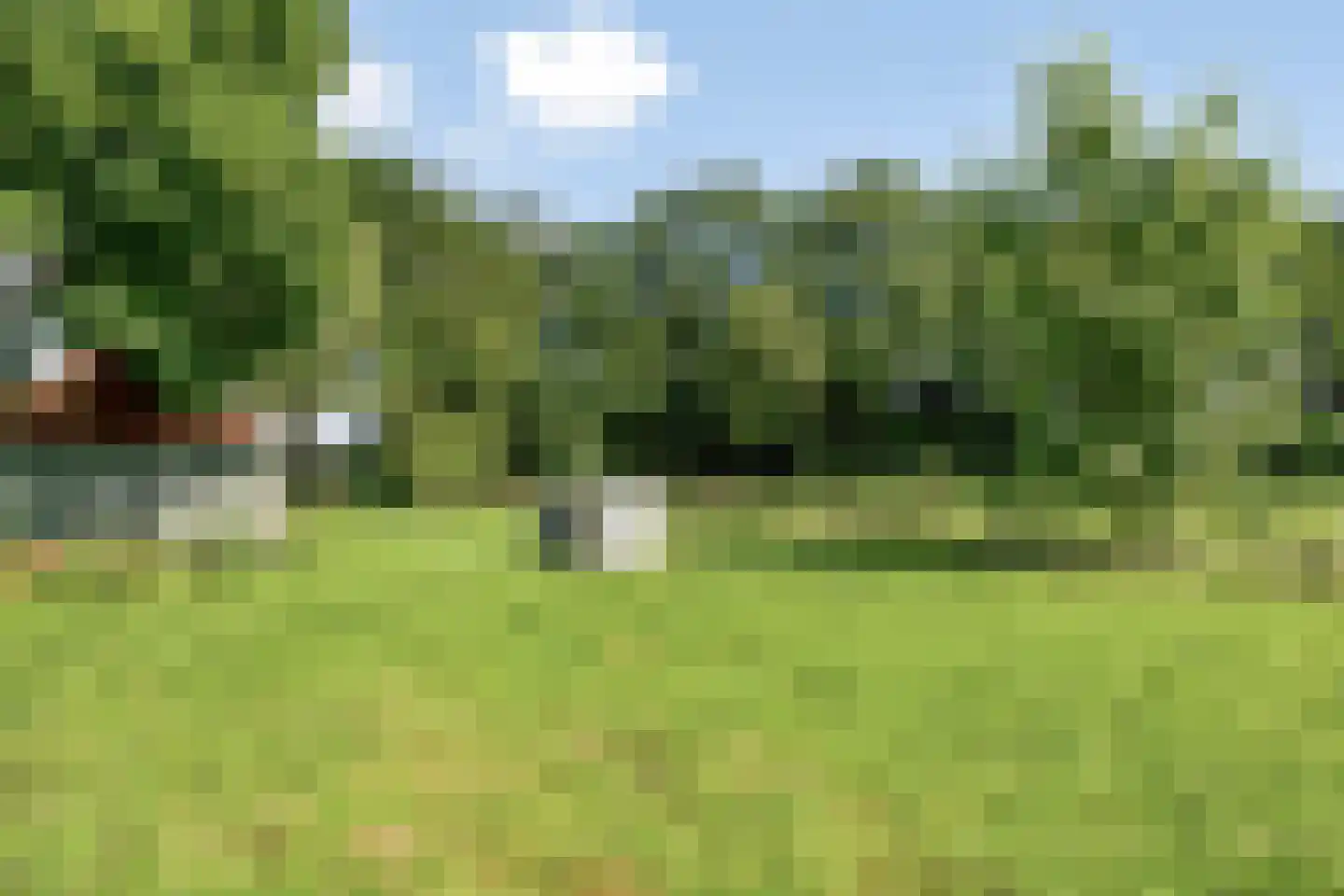 Dwarsweg 16 Eesveen thumbnail 29