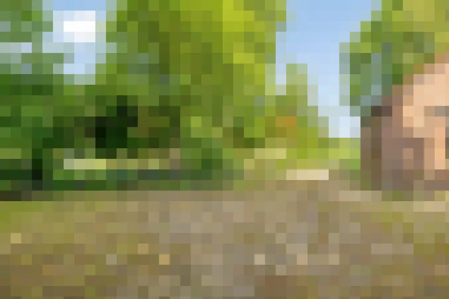 Dwarsweg 16 Eesveen thumbnail 31