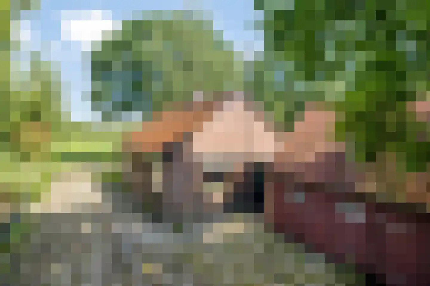 Dwarsweg 16 Eesveen thumbnail 32