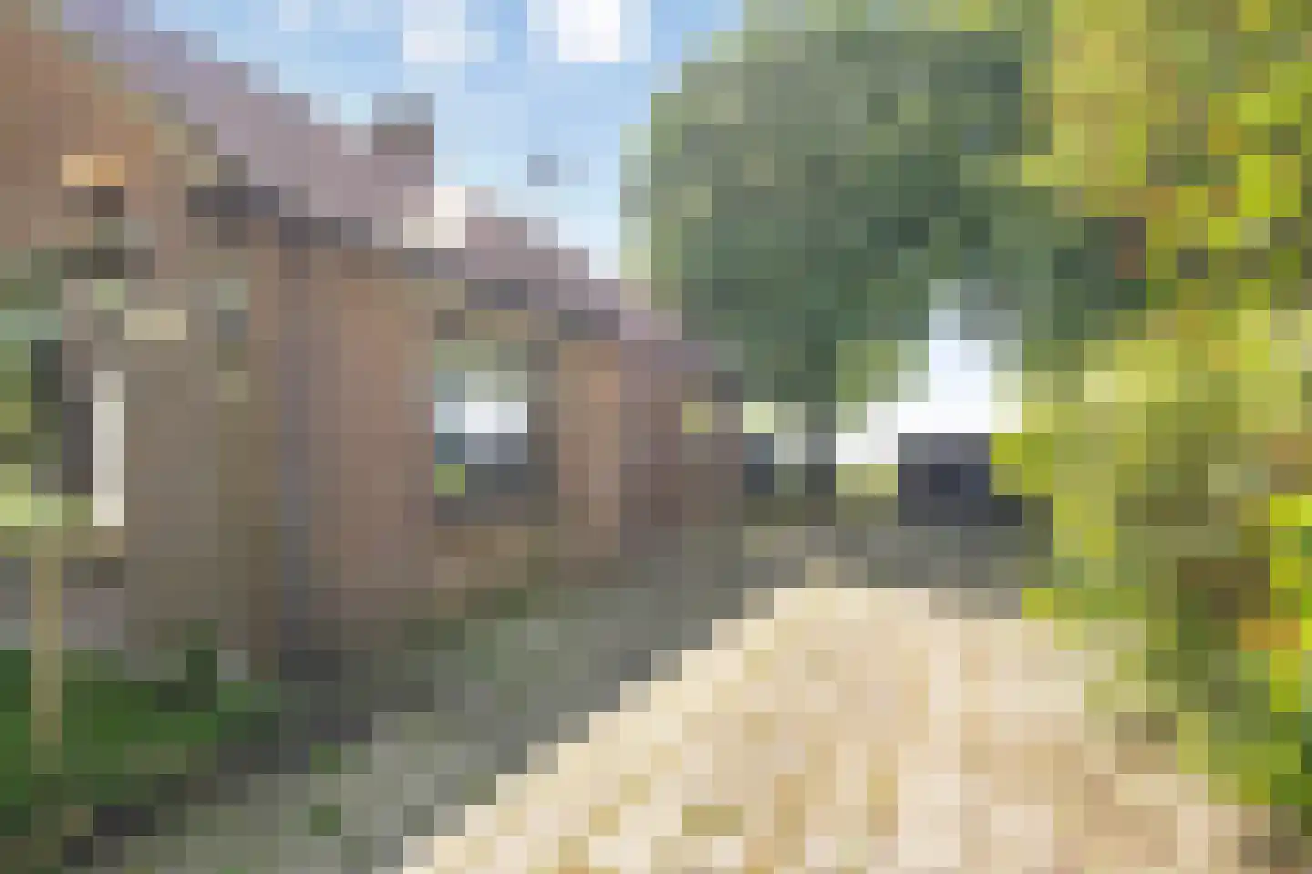 Dwarsweg 16 Eesveen thumbnail 34