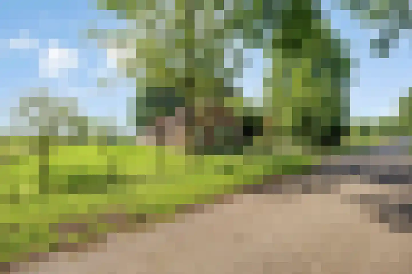 Dwarsweg 16 Eesveen thumbnail 36
