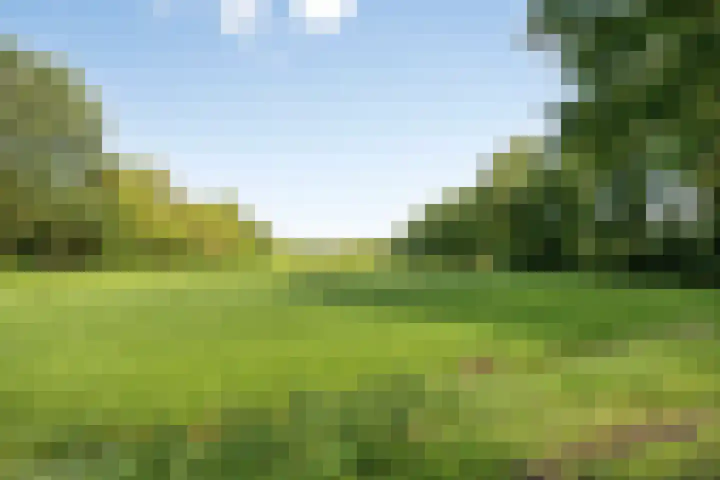 Dwarsweg 16 Eesveen thumbnail 39