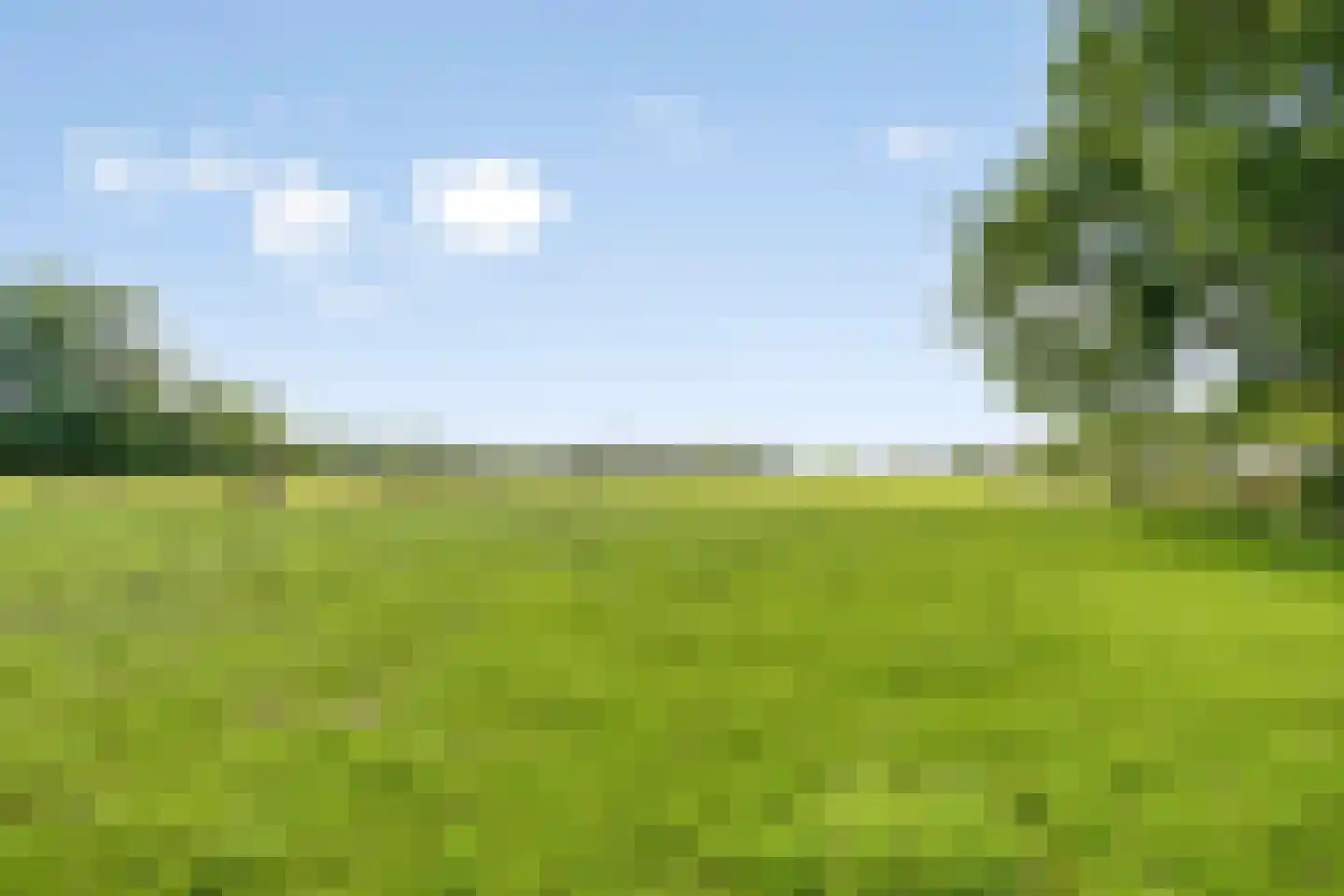 Dwarsweg 16 Eesveen thumbnail 4