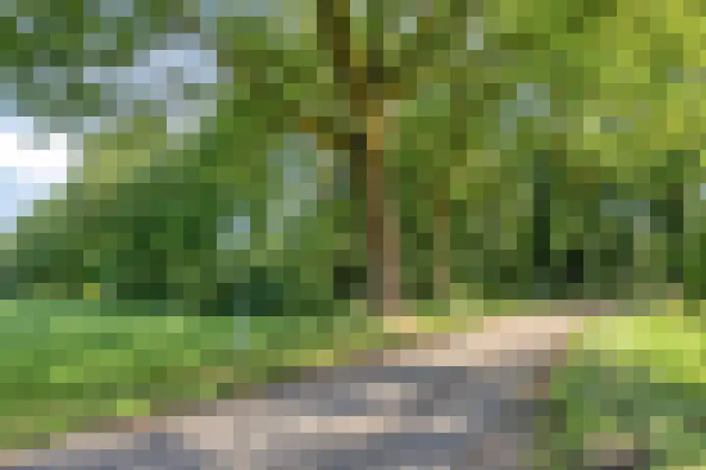 Dwarsweg 16 Eesveen thumbnail 40
