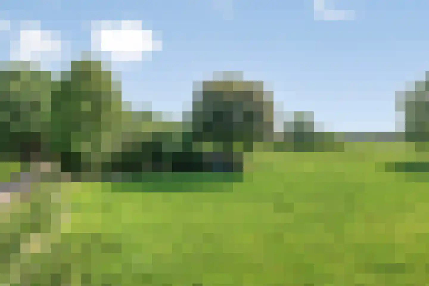 Dwarsweg 16 Eesveen thumbnail 41