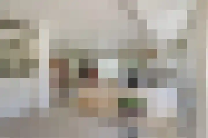 Dwarsweg 16 Rockanje thumbnail 14