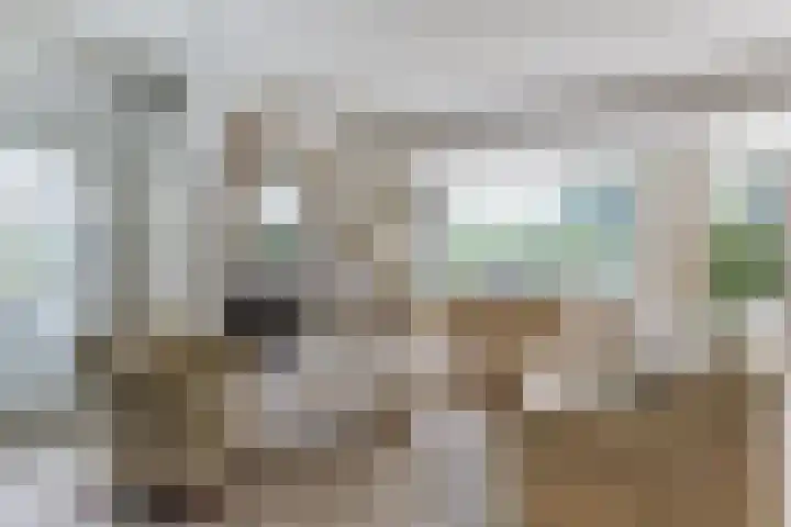 Dwarsweg 16 Rockanje thumbnail 16