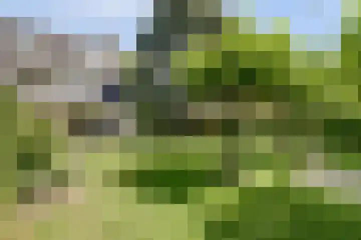 Dwarsweg 16 Rockanje thumbnail 19