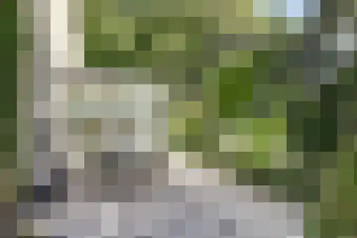 Dwarsweg 16 Rockanje thumbnail 21