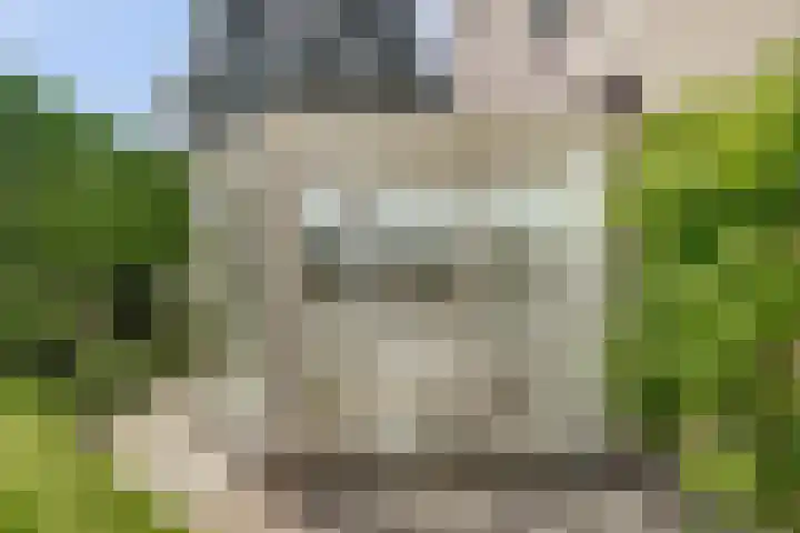 Dwarsweg 16 Rockanje thumbnail 22
