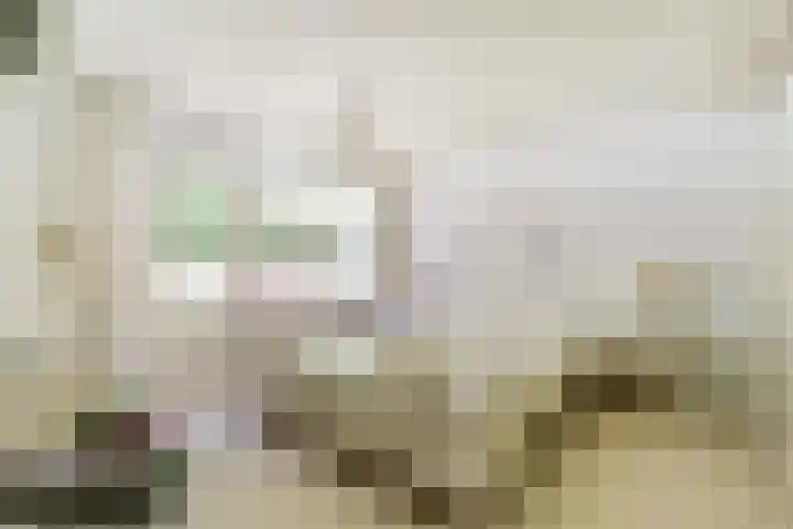 Dwarsweg 16 Rockanje thumbnail 23