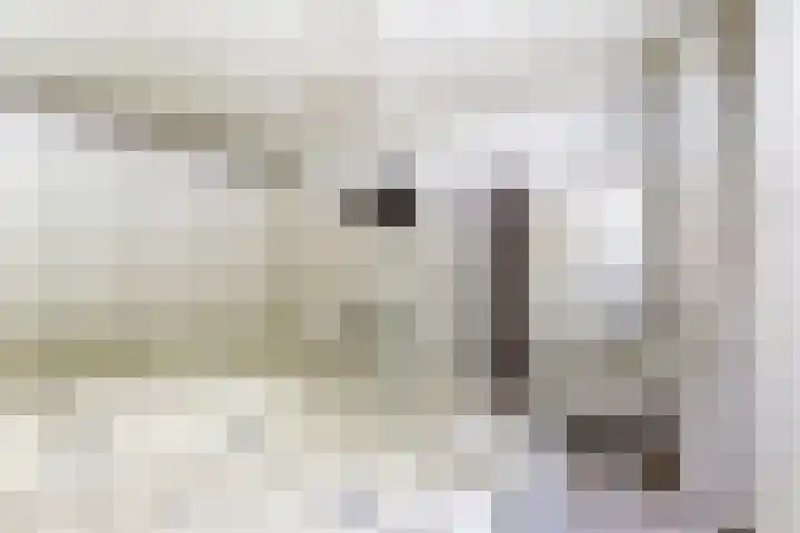 Dwarsweg 16 Rockanje thumbnail 24