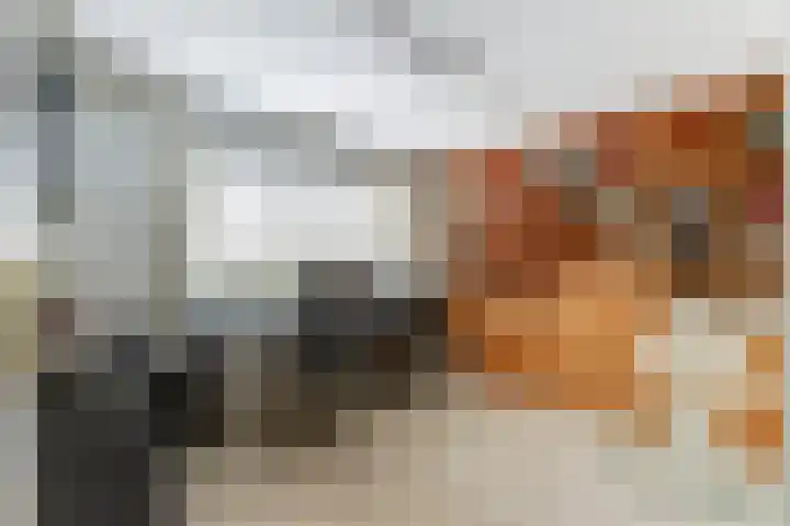 Dwarsweg 16 Rockanje thumbnail 32