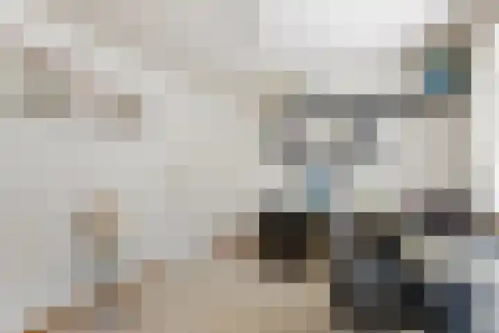 Dwarsweg 16 Rockanje thumbnail 33