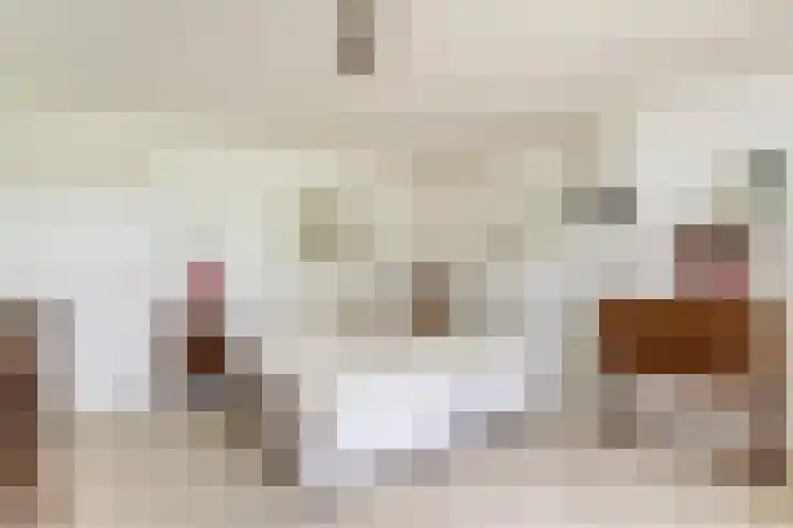 Dwarsweg 16 Rockanje thumbnail 34