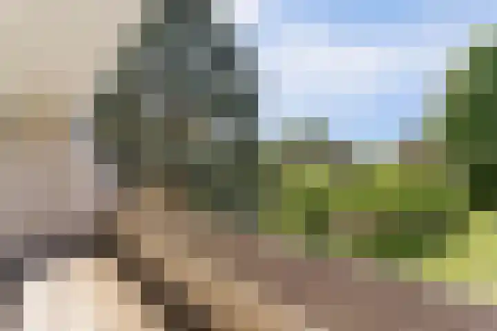 Dwarsweg 16 Rockanje thumbnail 36