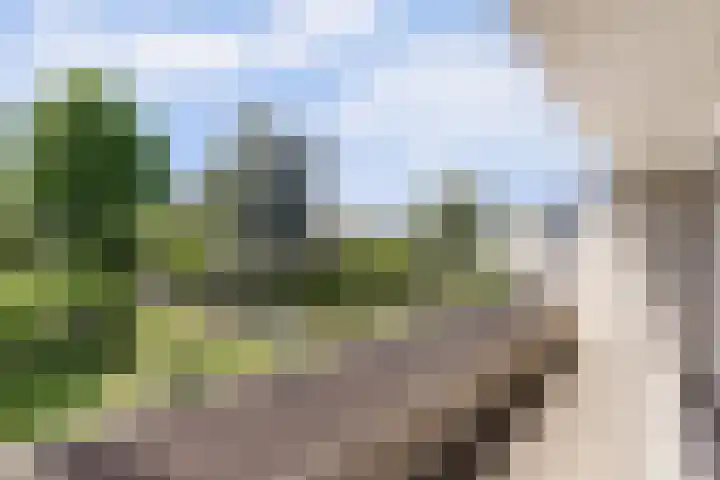 Dwarsweg 16 Rockanje thumbnail 37