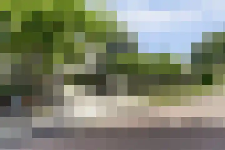 Dwarsweg 16 Rockanje thumbnail 55
