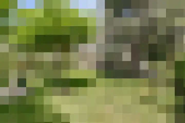 Dwarsweg 16 Rockanje thumbnail 57